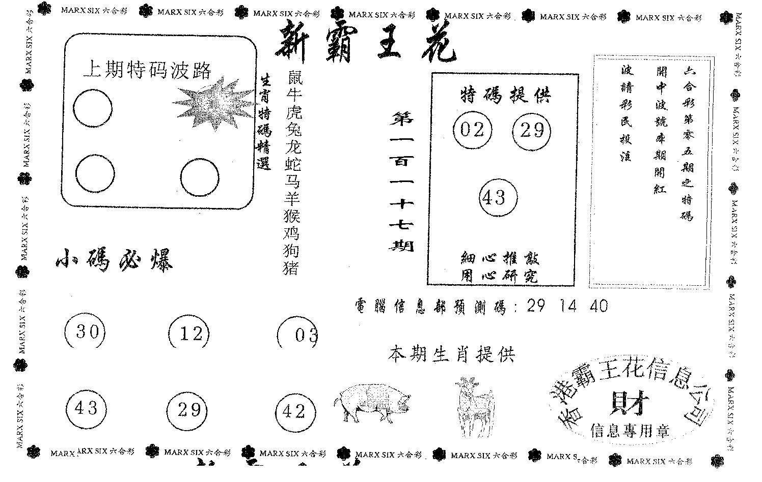 新霸王花-117