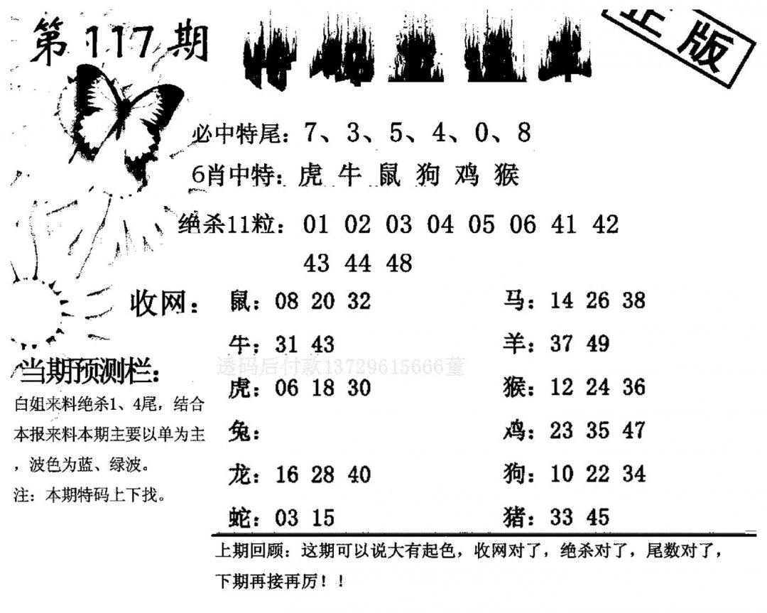 特码直通车-117