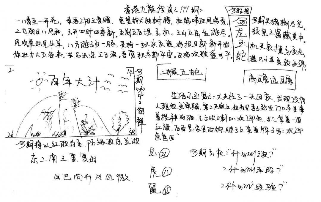 手写九龙内幕A-117