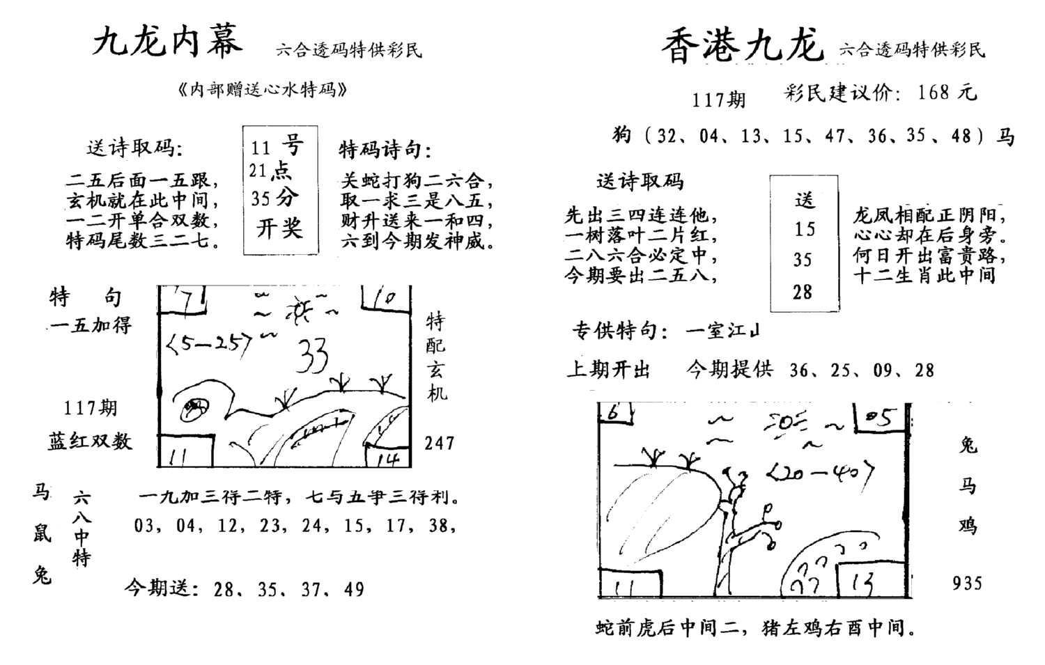 九龙内幕--开奖报-117