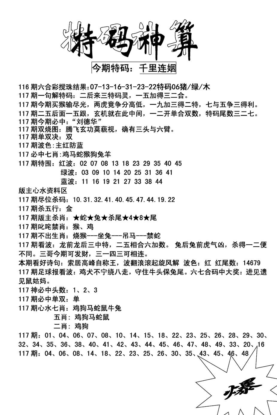 特码神算(新图)-117