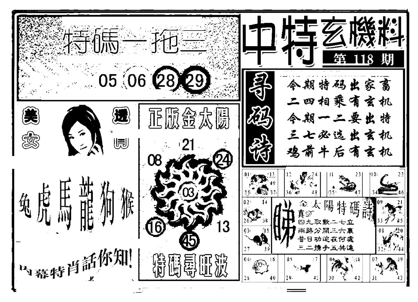 中特玄机料(新图)-118