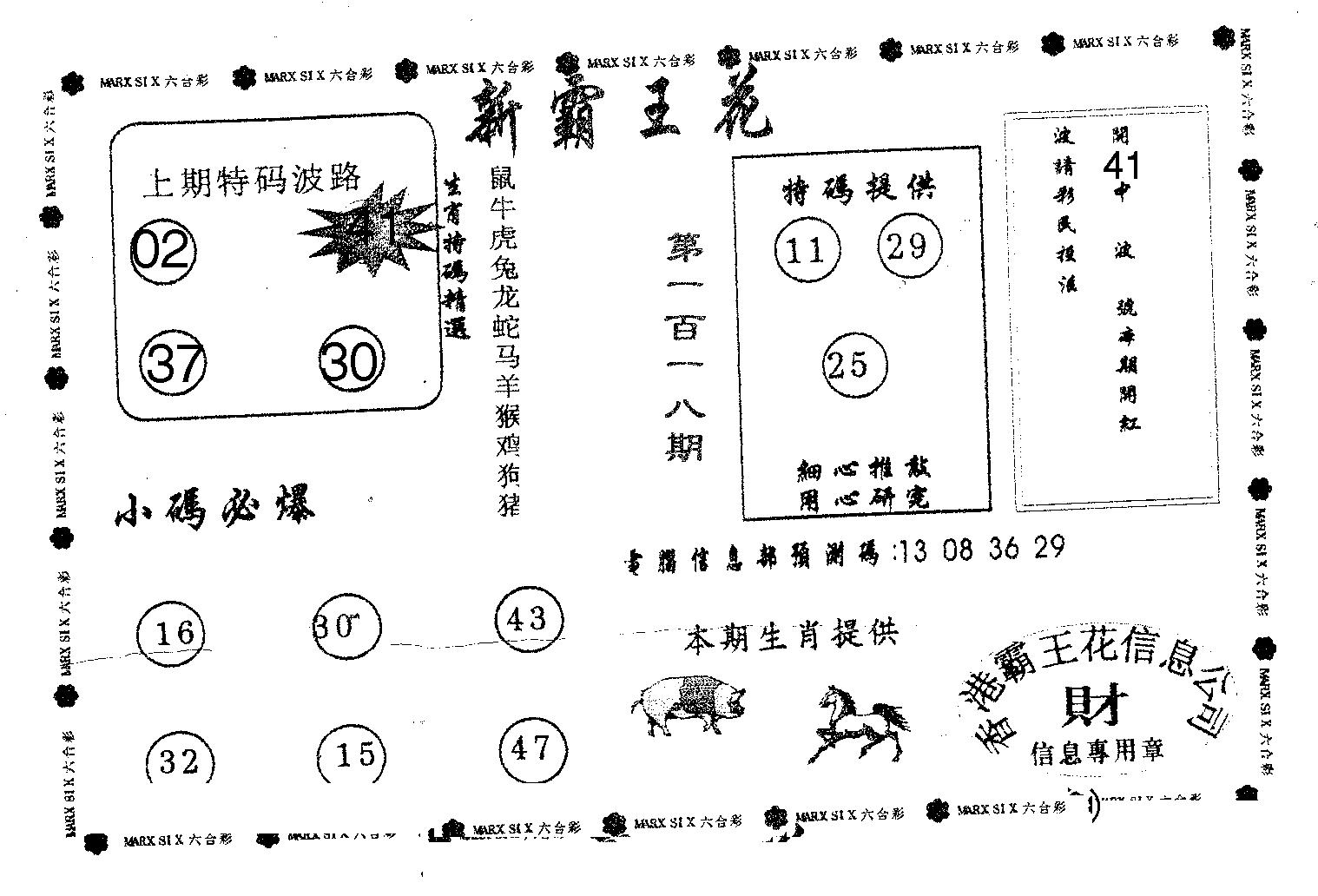 新霸王花-118