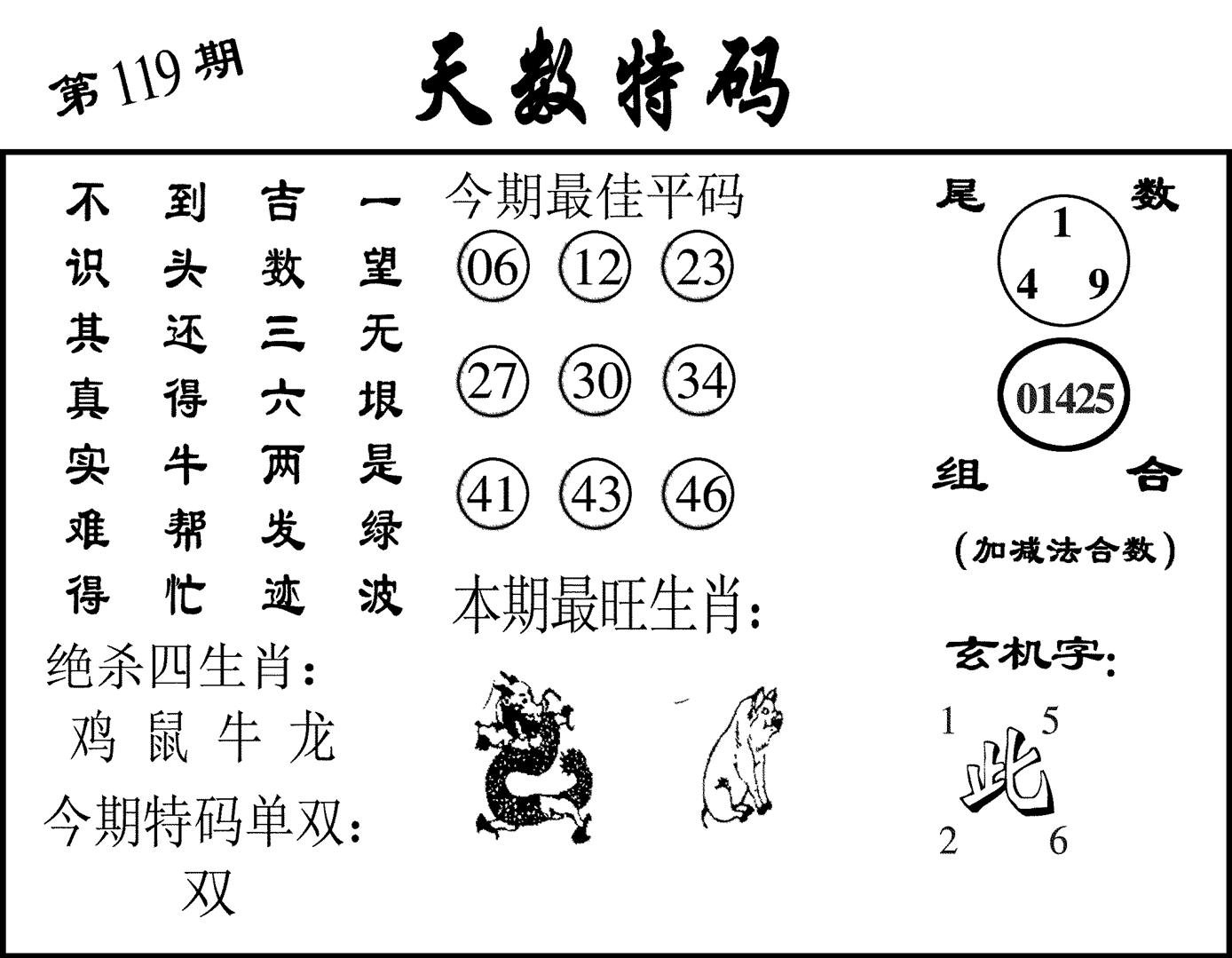 天数特码-119