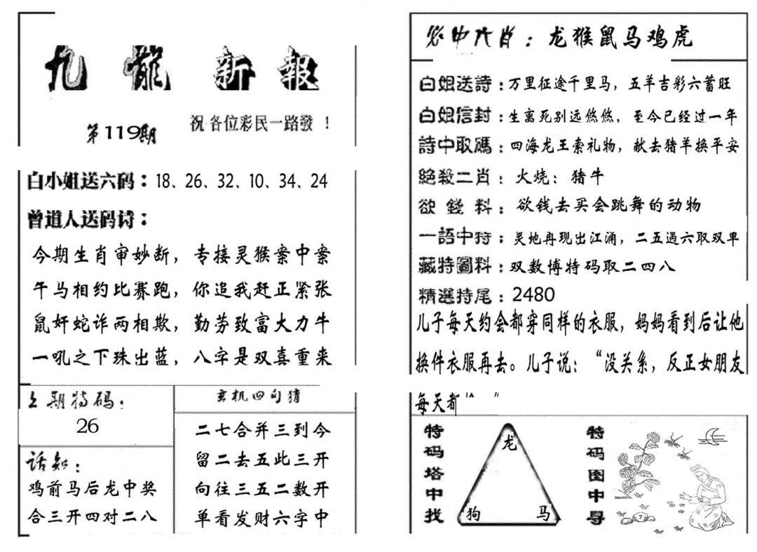 九龙新报(生肖版)-119