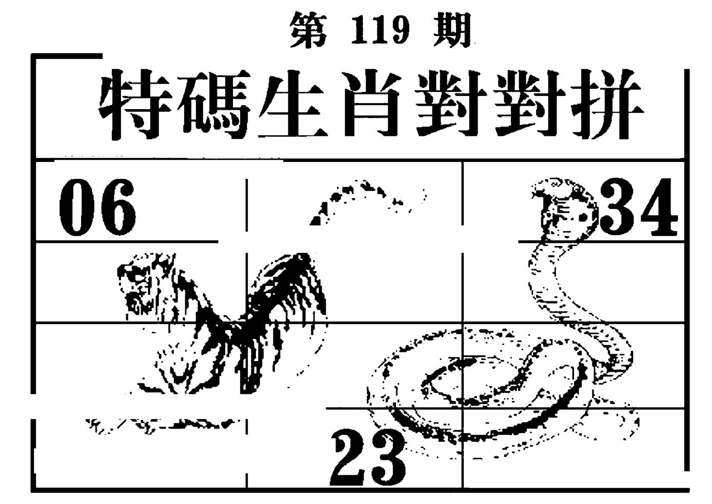 特码生肖对对拼-119