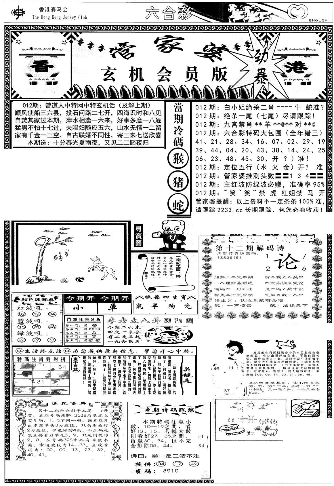 管家婆-玄机会员版(热)-12