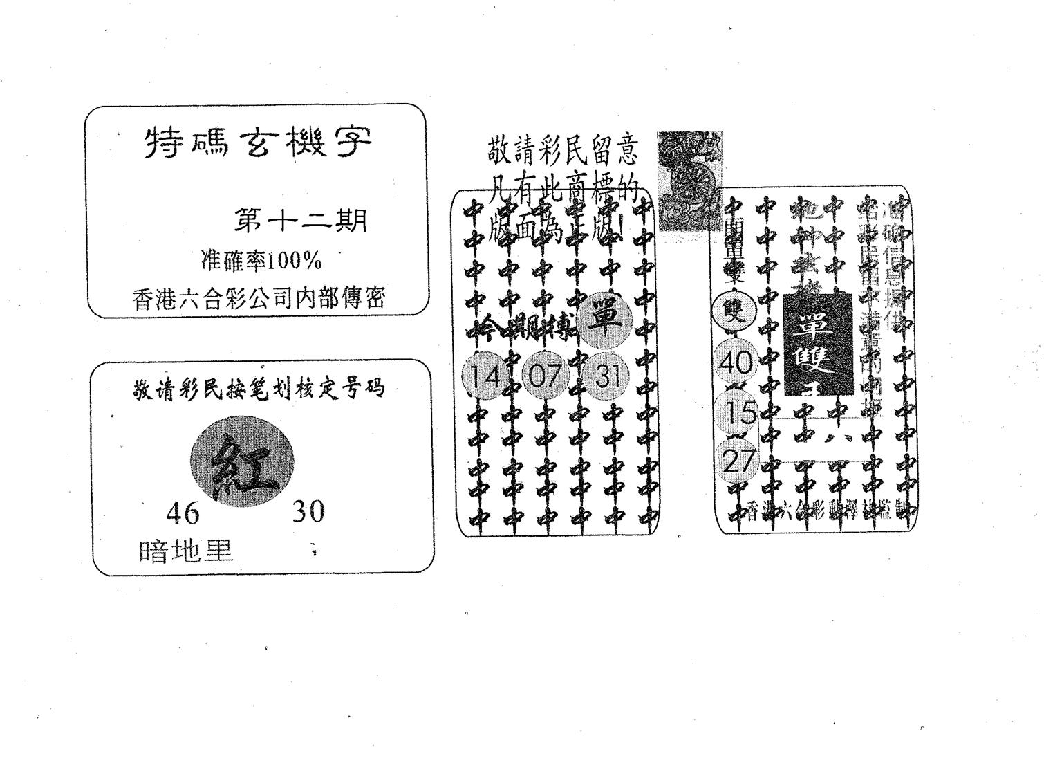 特码玄机字-12