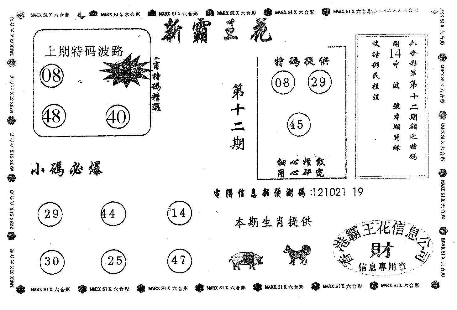 新霸王花-12