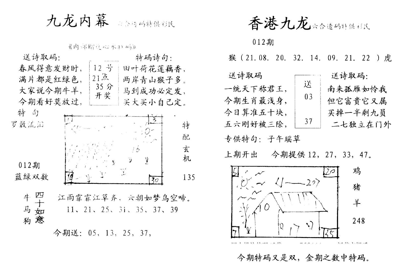 九龙内幕--开奖报-12