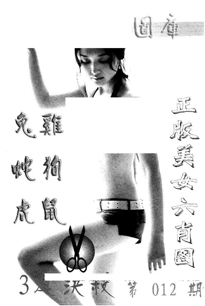 美女六肖报-12