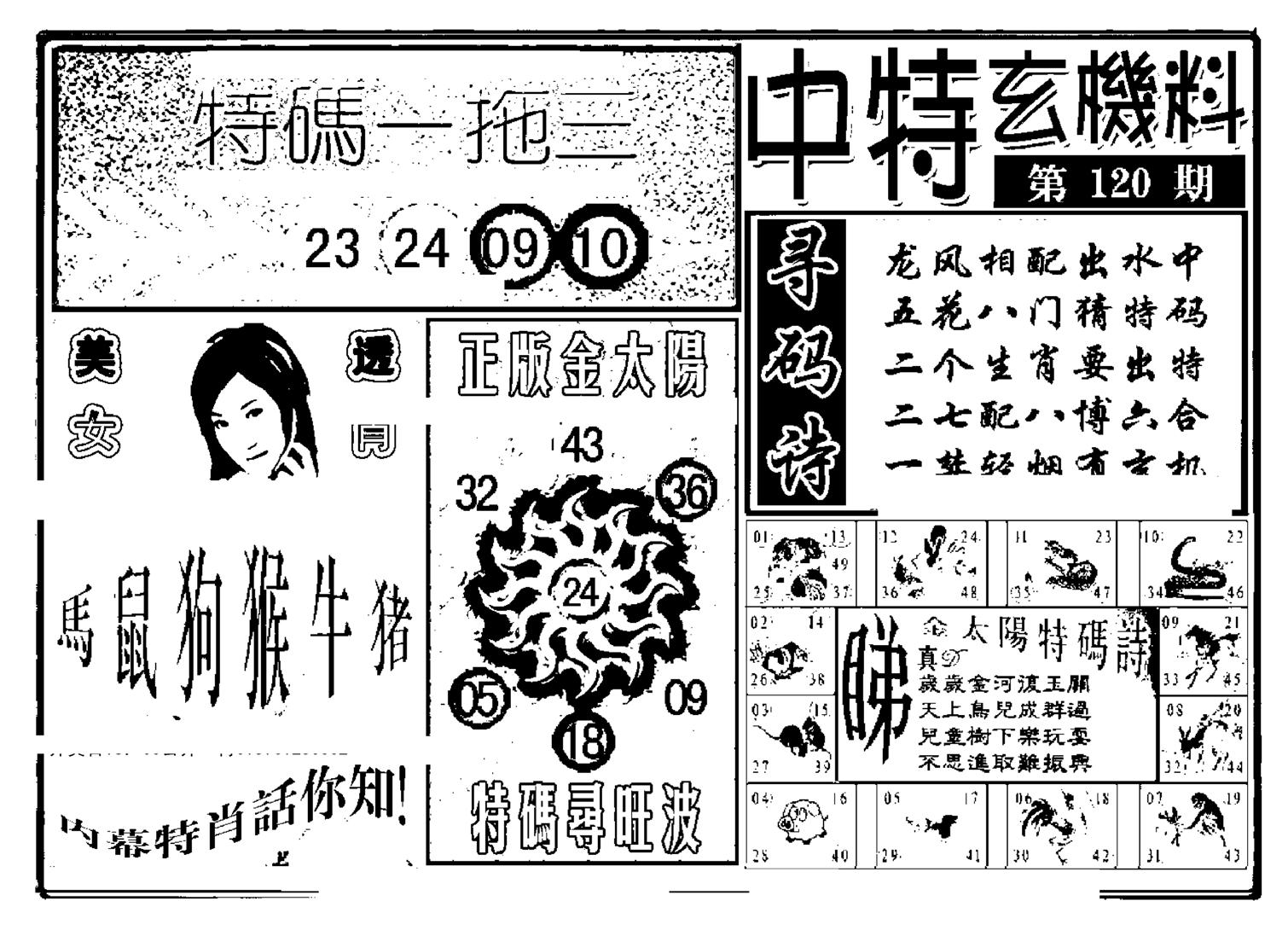 中特玄机料(新图)-120