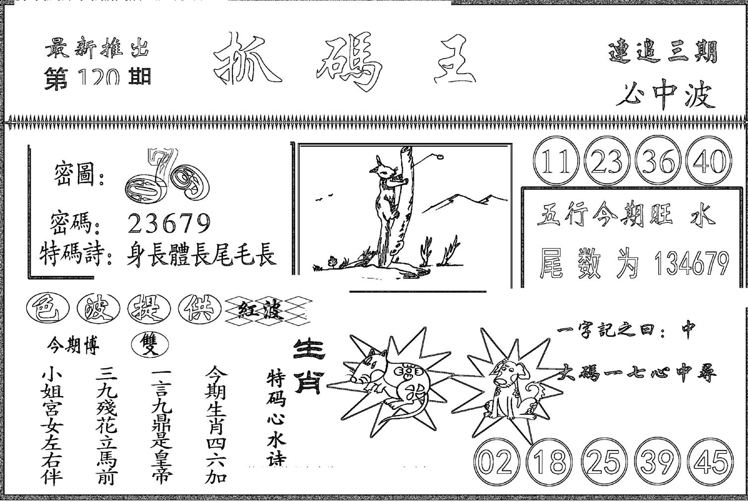 抓码王-120