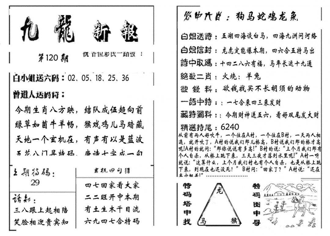 九龙新报(生肖版)-120