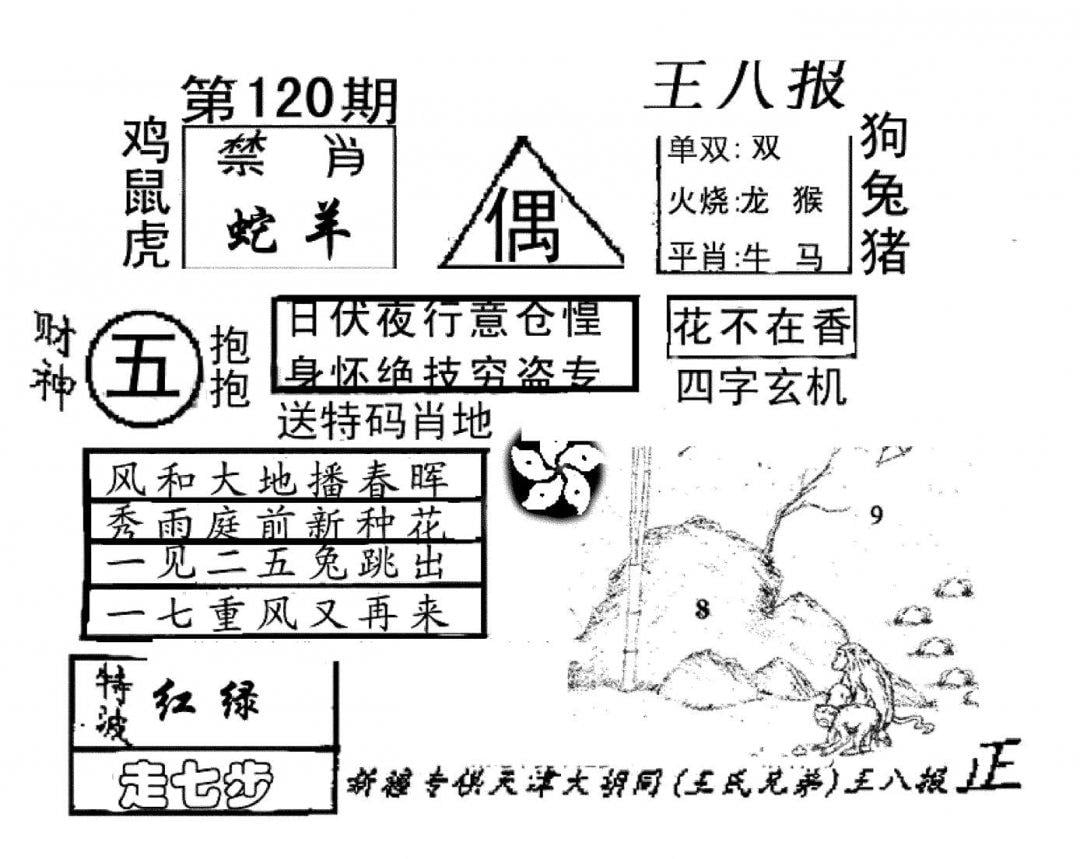 王八报-120