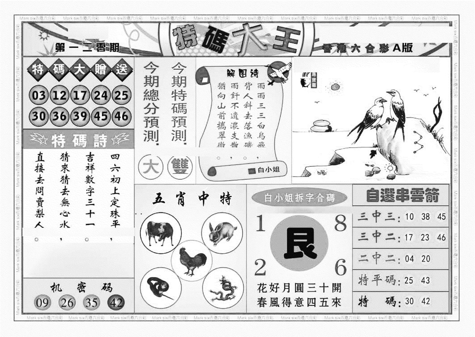 特码大王A（新图）-120