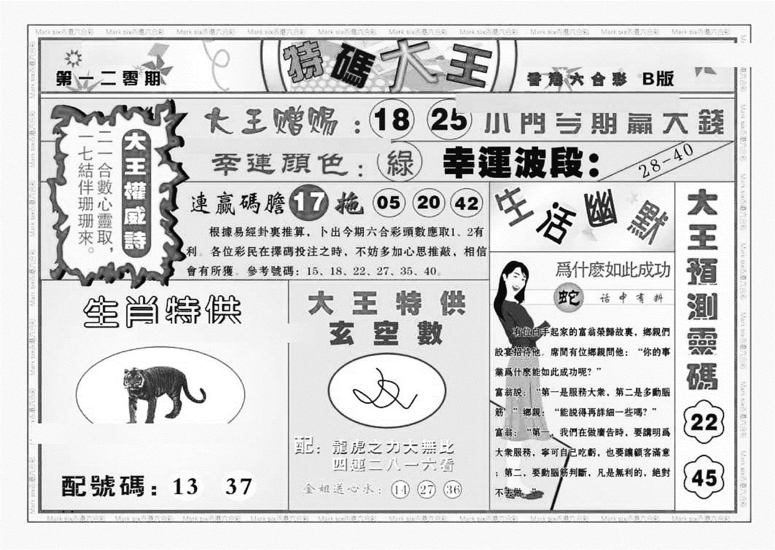 特码大王B（新图）-120