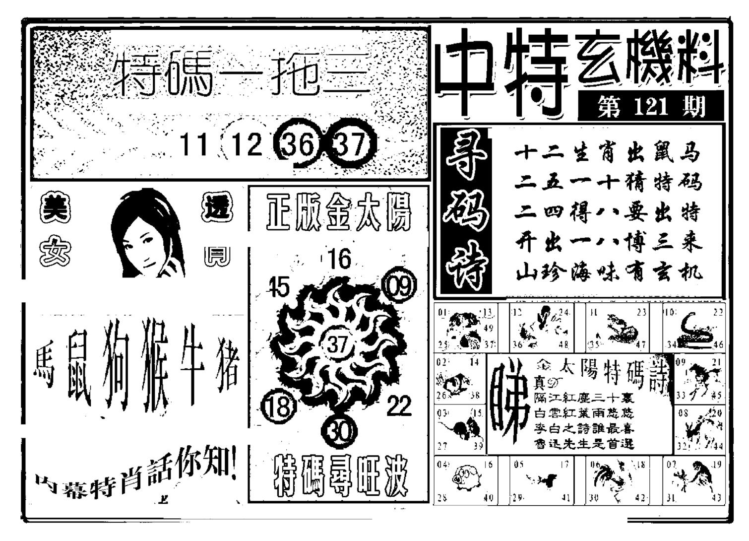 中特玄机料(新图)-121