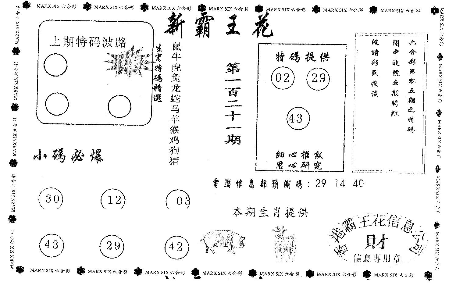 新霸王花-121