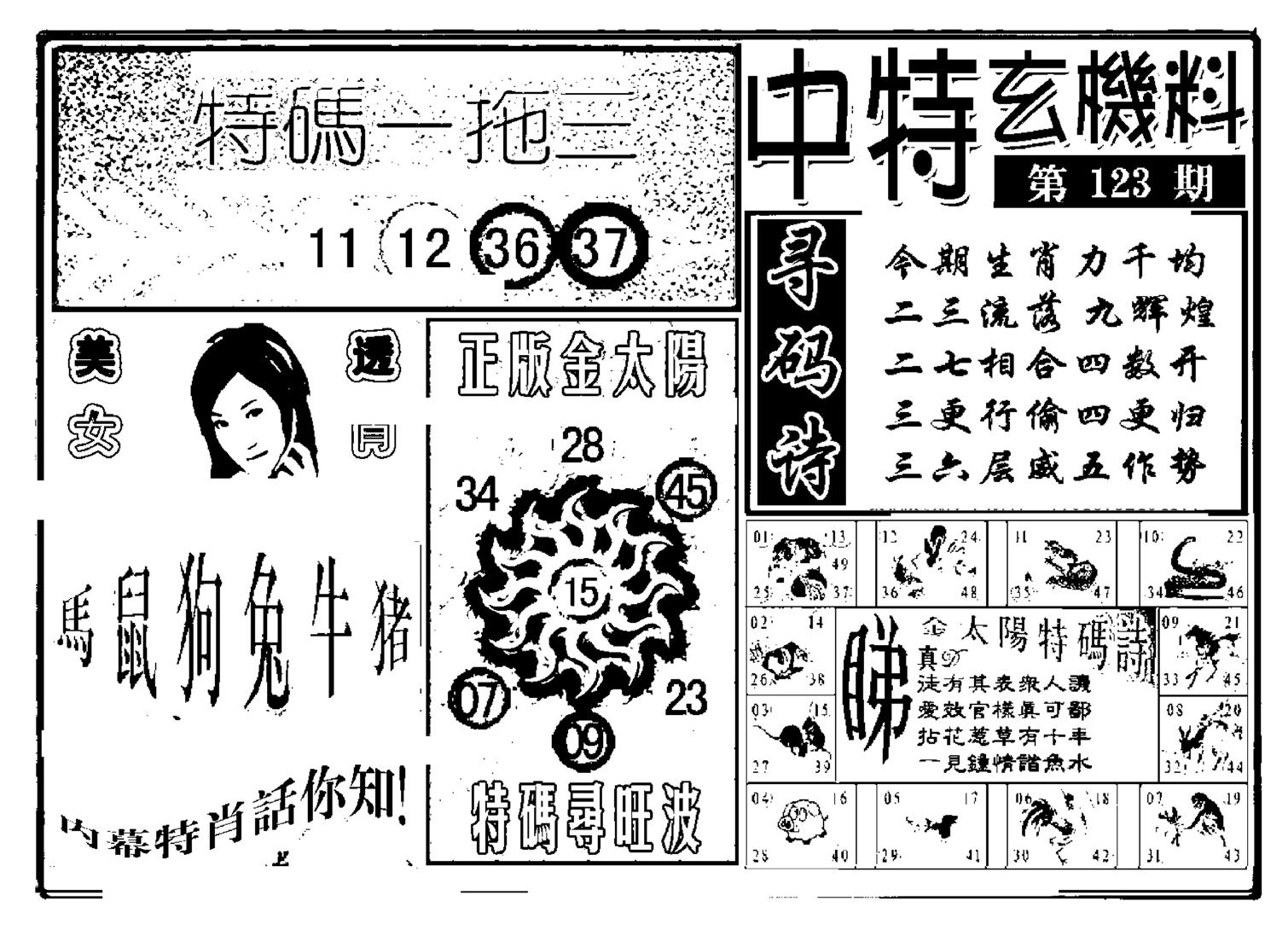 中特玄机料(新图)-123