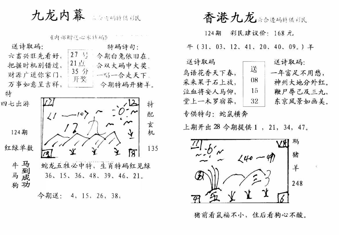 九龙内幕--开奖报-124