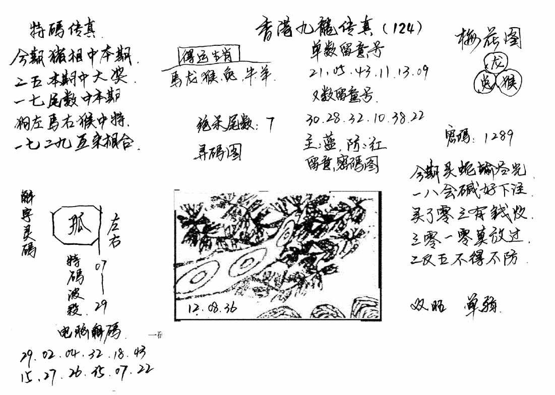 特码传真梅花图(手写版)-124