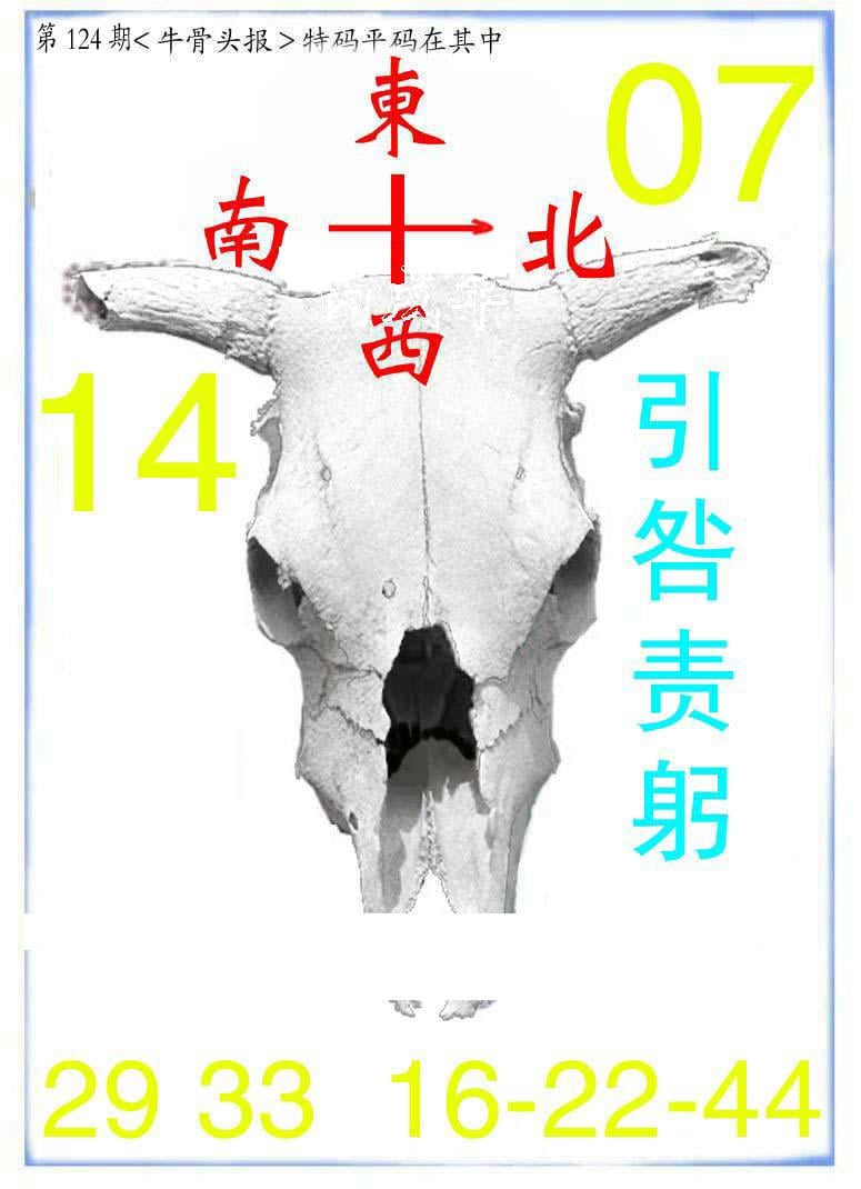 牛派系列7-124