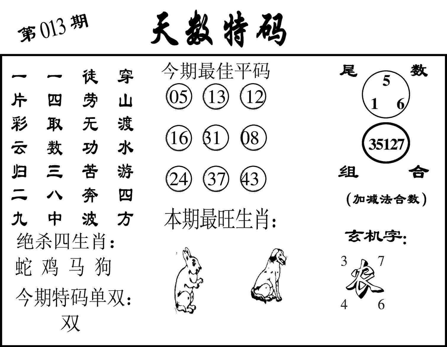 天数特码-13