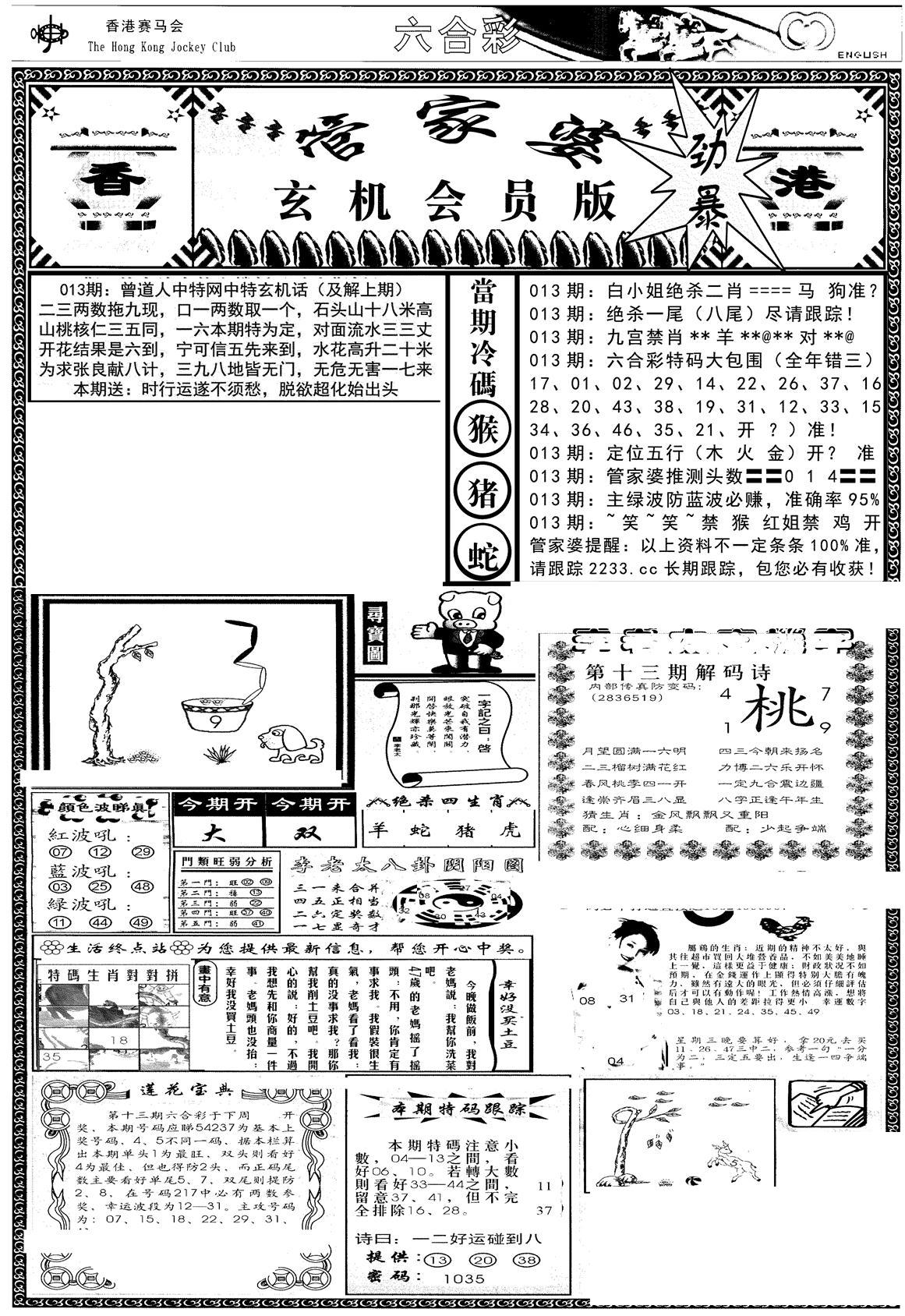 管家婆-玄机会员版(热)-13