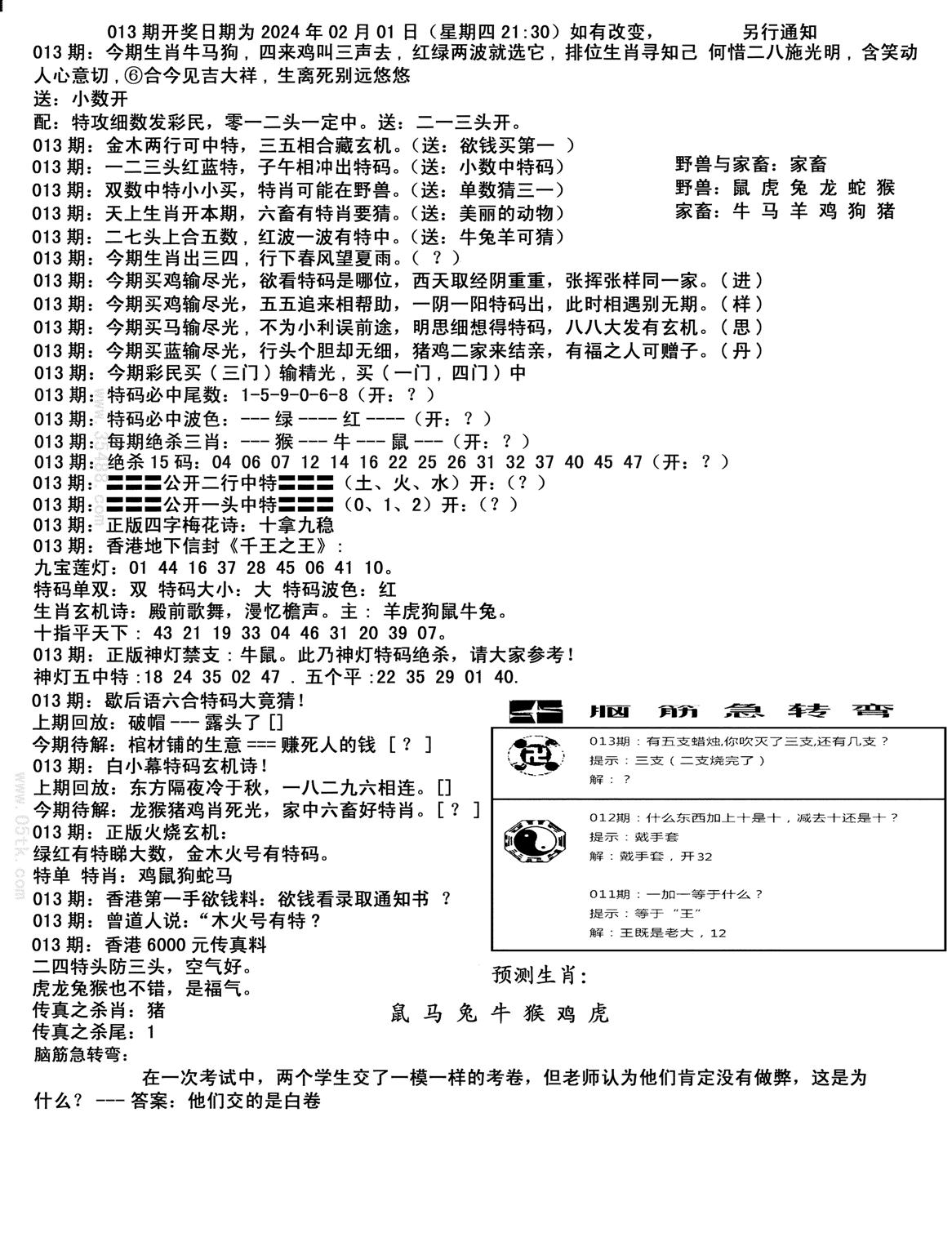 马会小综合-13