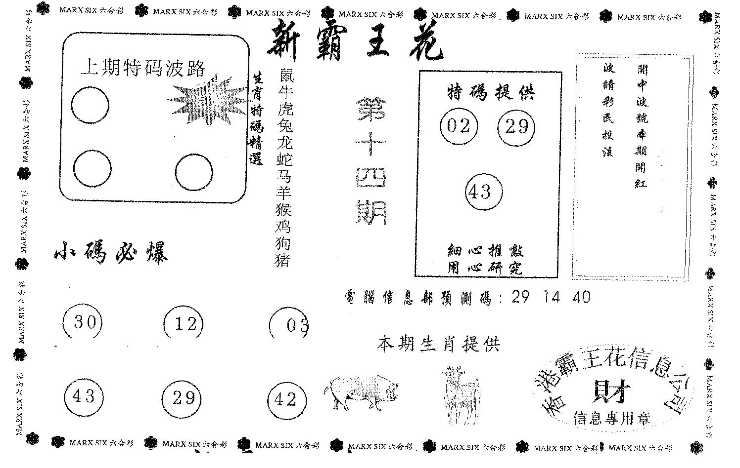 新霸王花-14