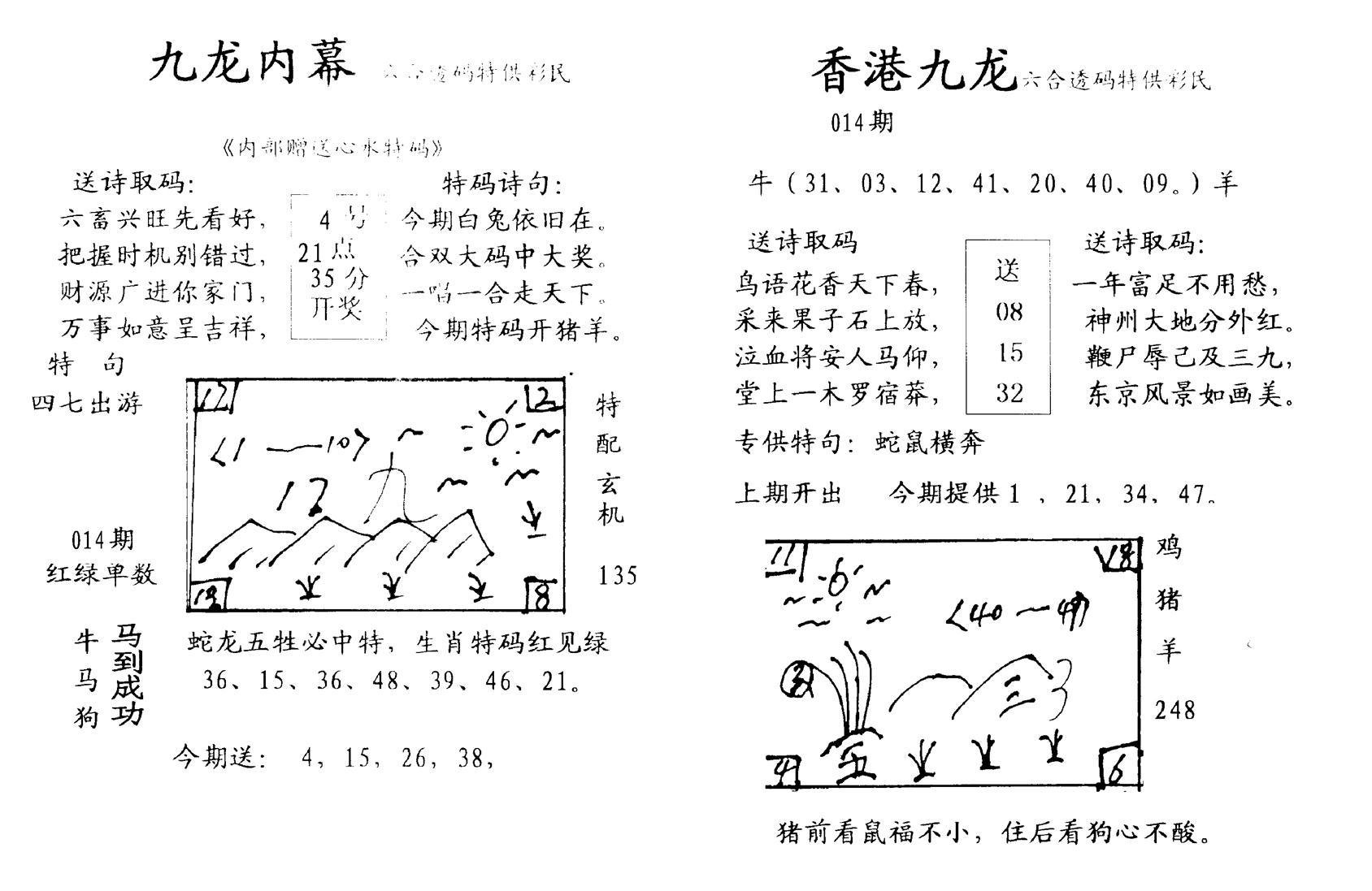 九龙内幕--开奖报-14