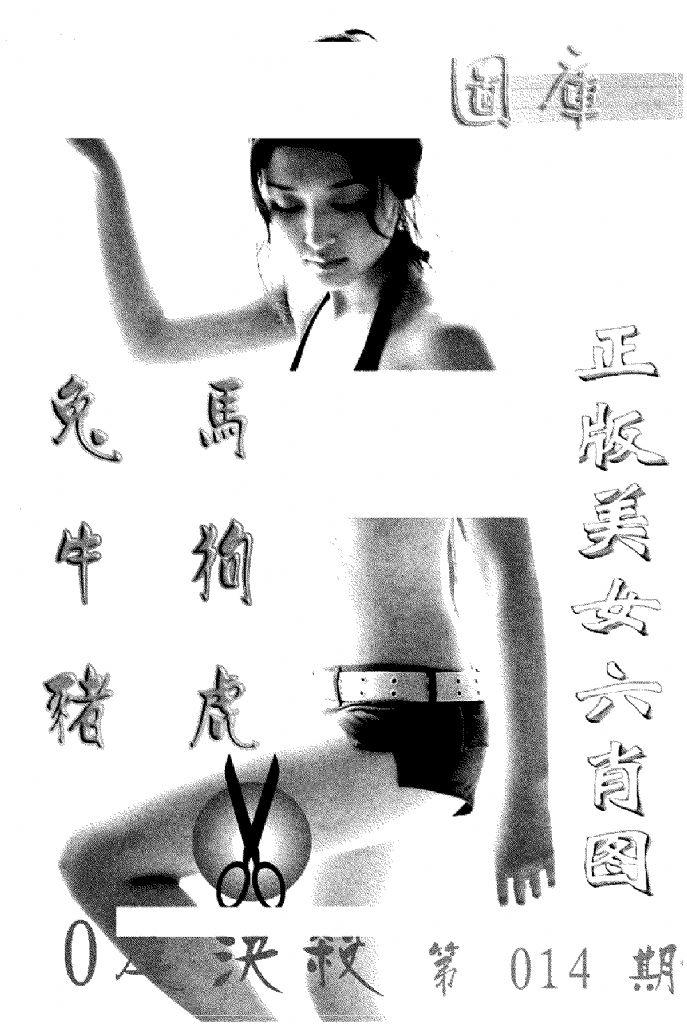 美女六肖报-14