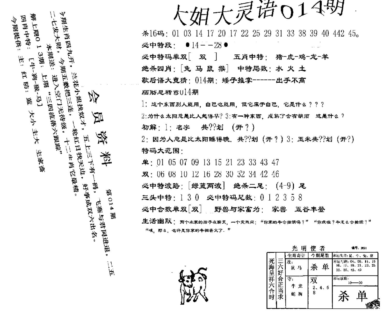 大姐大灵语报(新图)-14