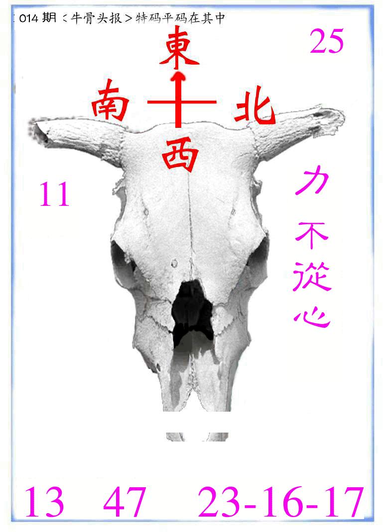 牛派系列7-14