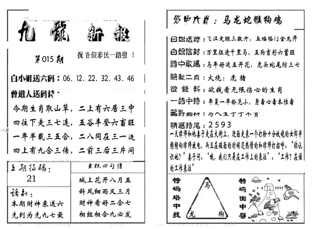 九龙新报(生肖版)-15