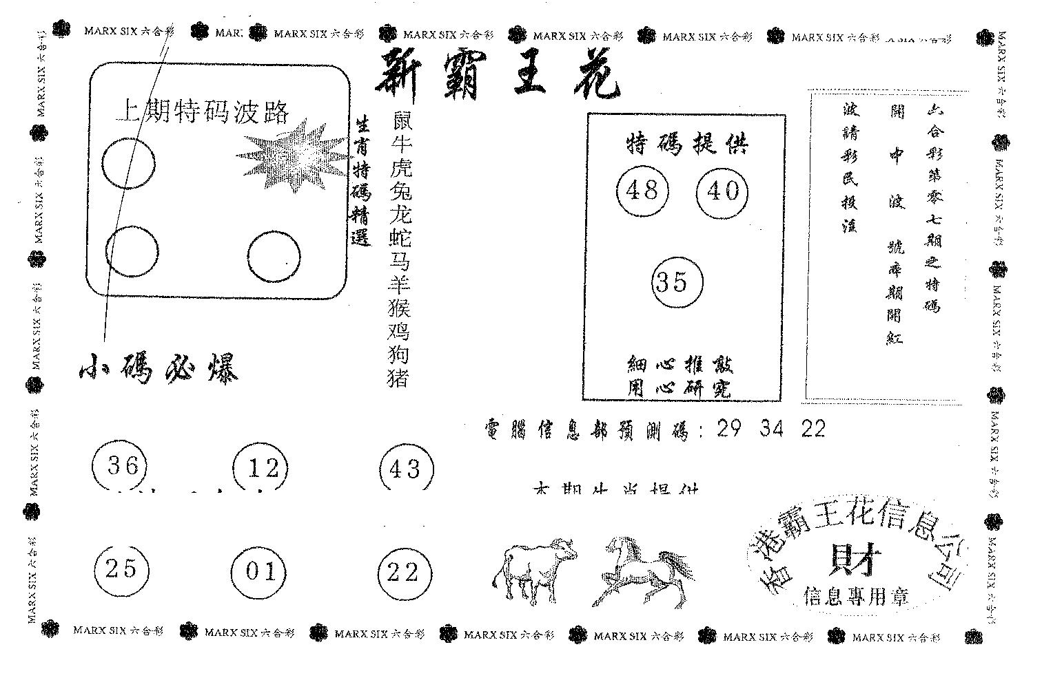 新霸王花-15