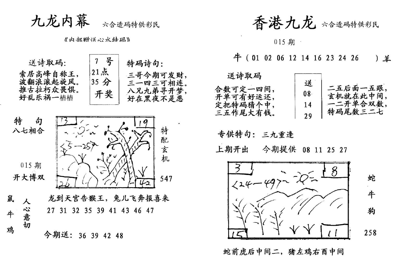 九龙内幕--开奖报-15