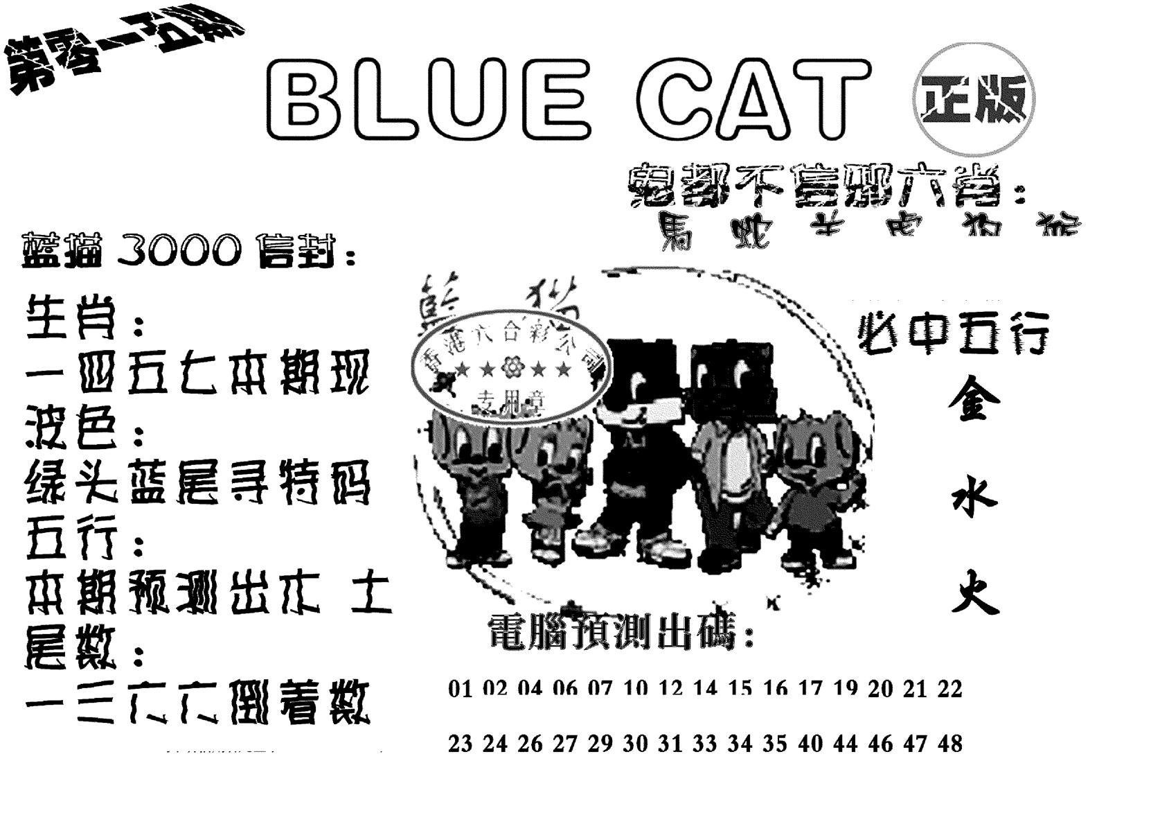 蓝猫Blue Cat-15