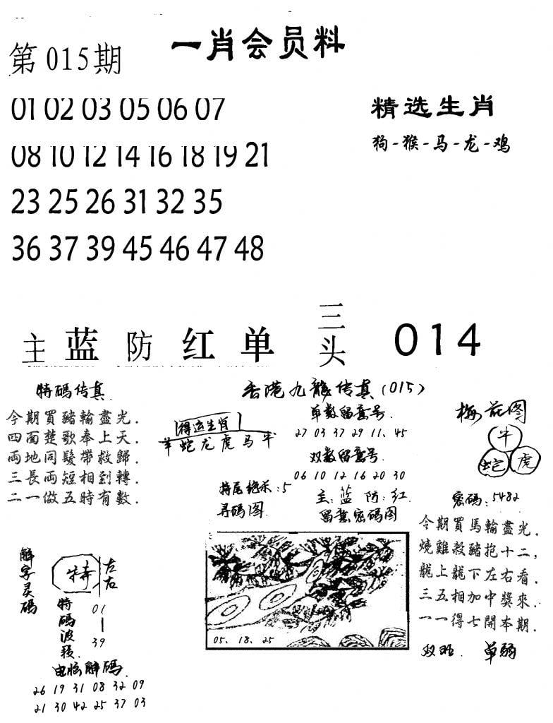 一肖会员料-15