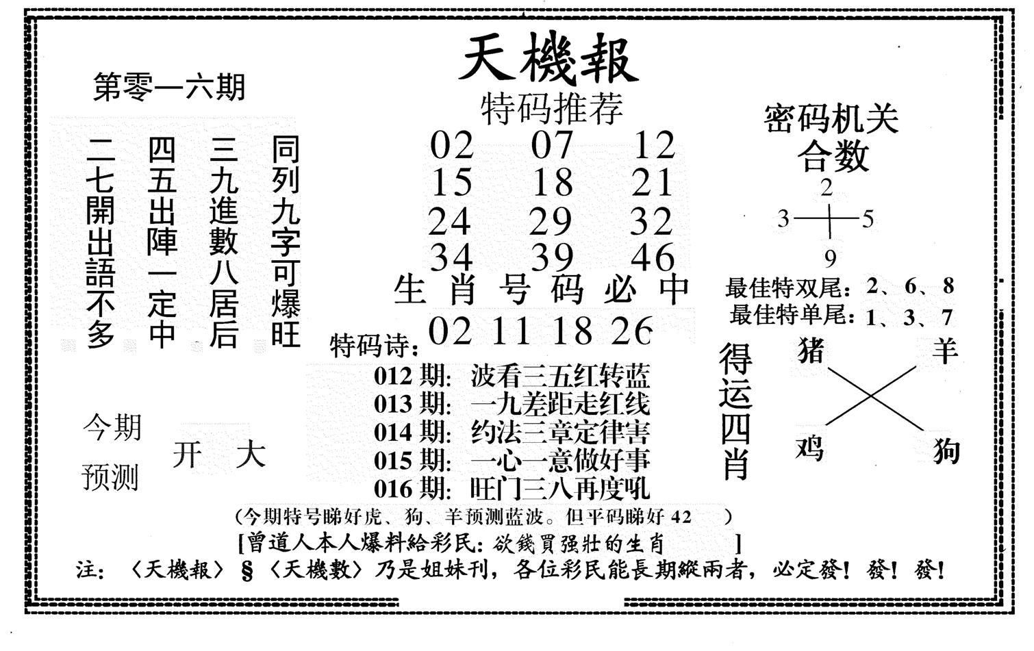 新天机报-16