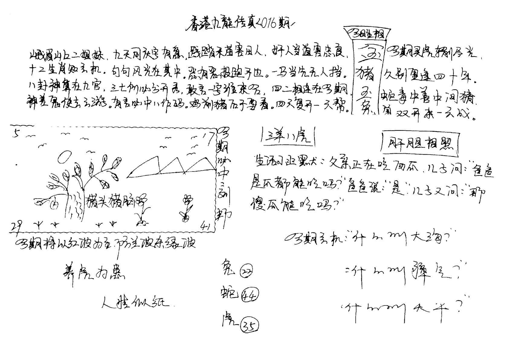 正版手写九龙-16