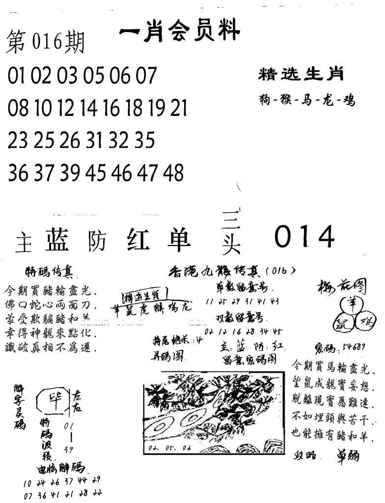 一肖会员料-16