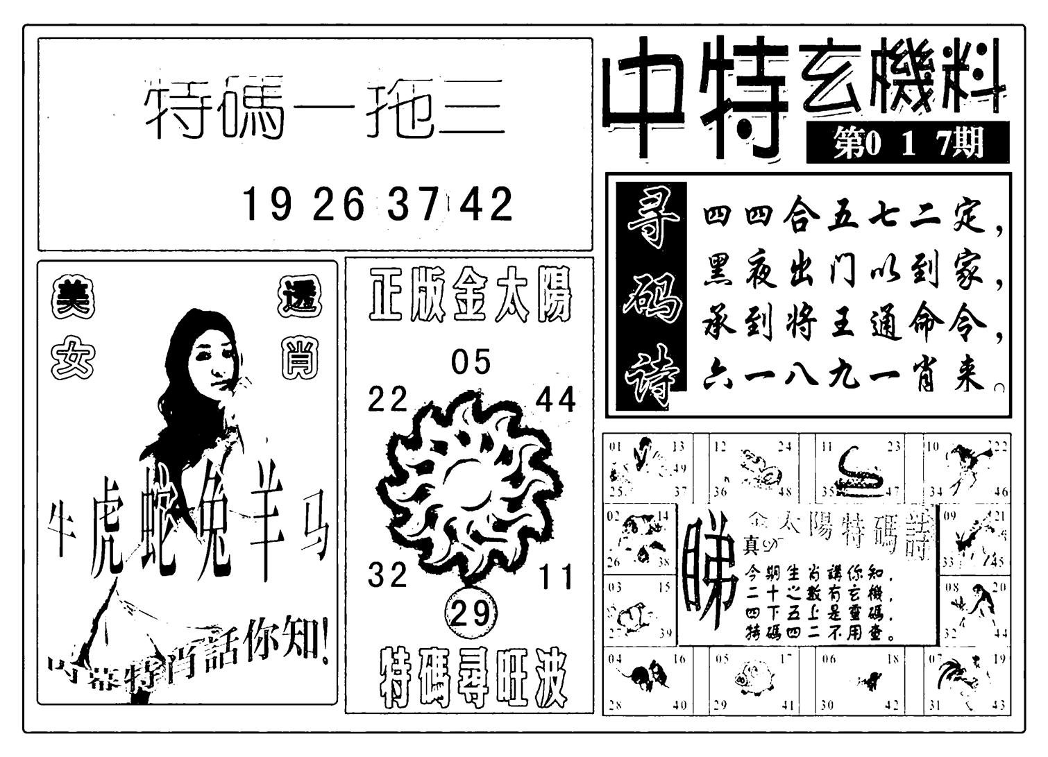 中特玄机料(新图)-17