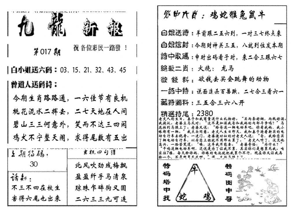 九龙新报(生肖版)-17