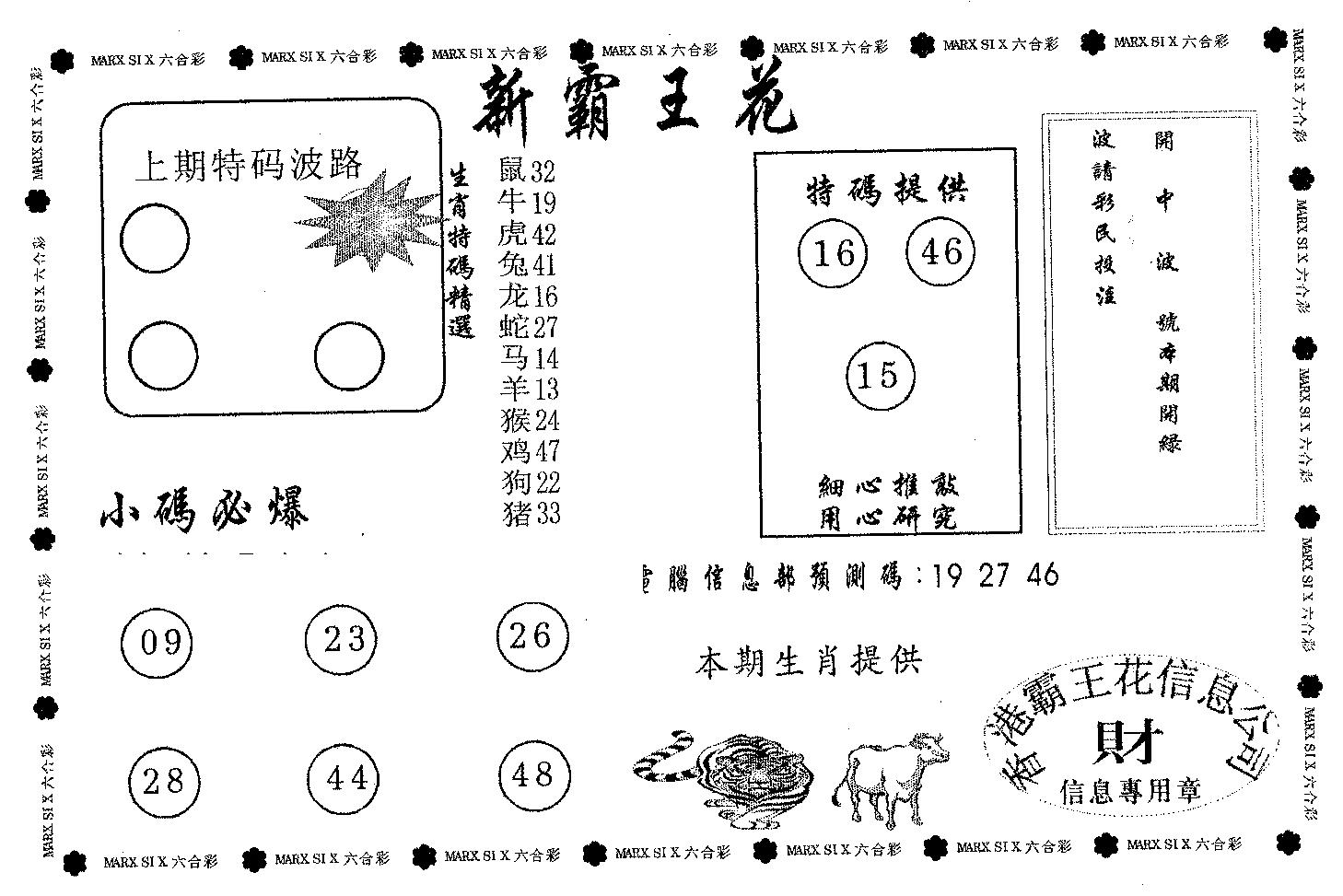 新霸王花-17