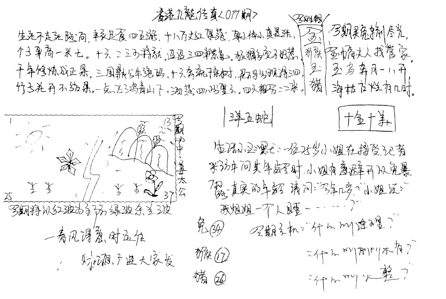 正版手写九龙-17