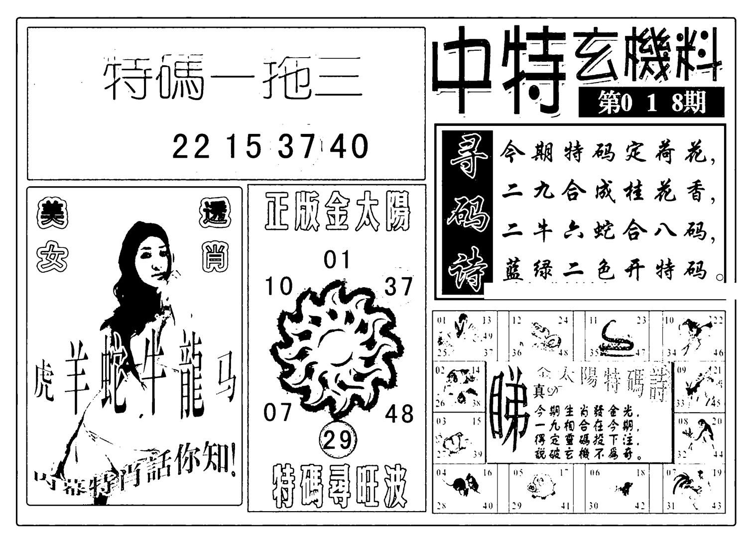 中特玄机料(新图)-18