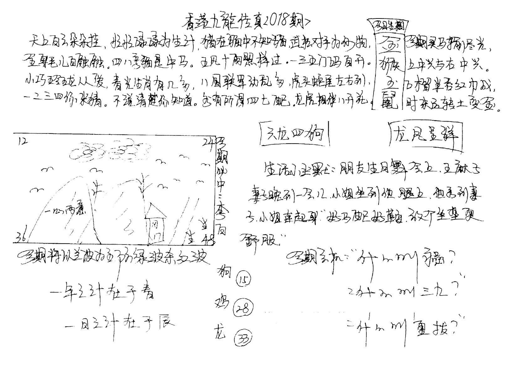 正版手写九龙-18