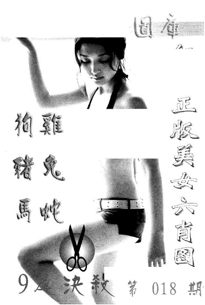 美女六肖报-18